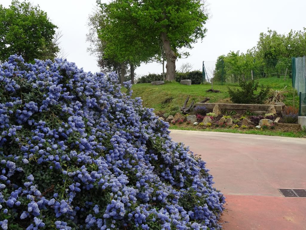 Camping & Bungalows Leagi Mendexa Екстер'єр фото